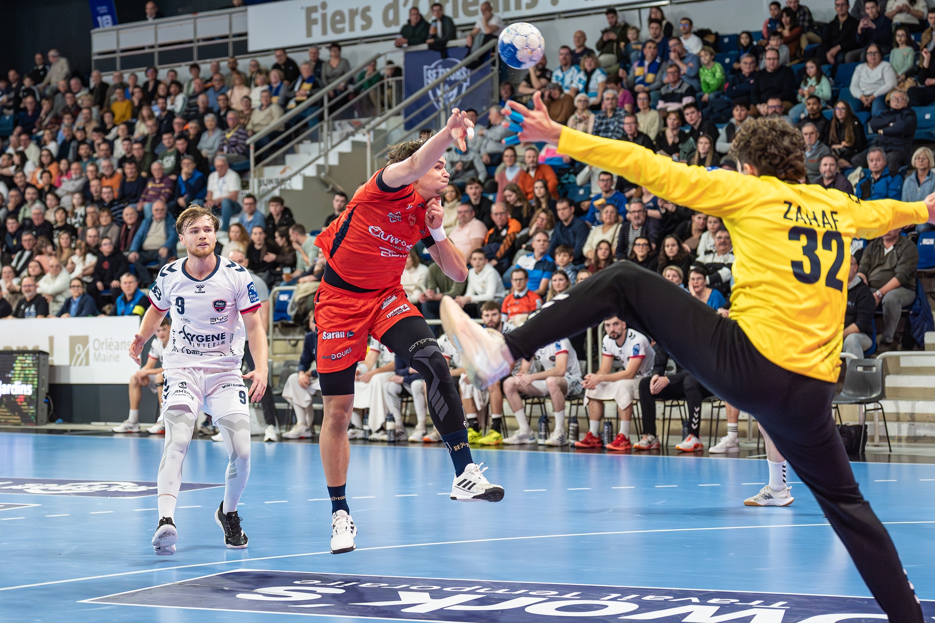 DSC08234.jpg_compressed