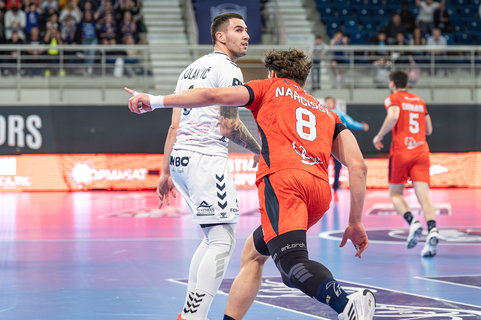 DSC08246.jpg_compressed