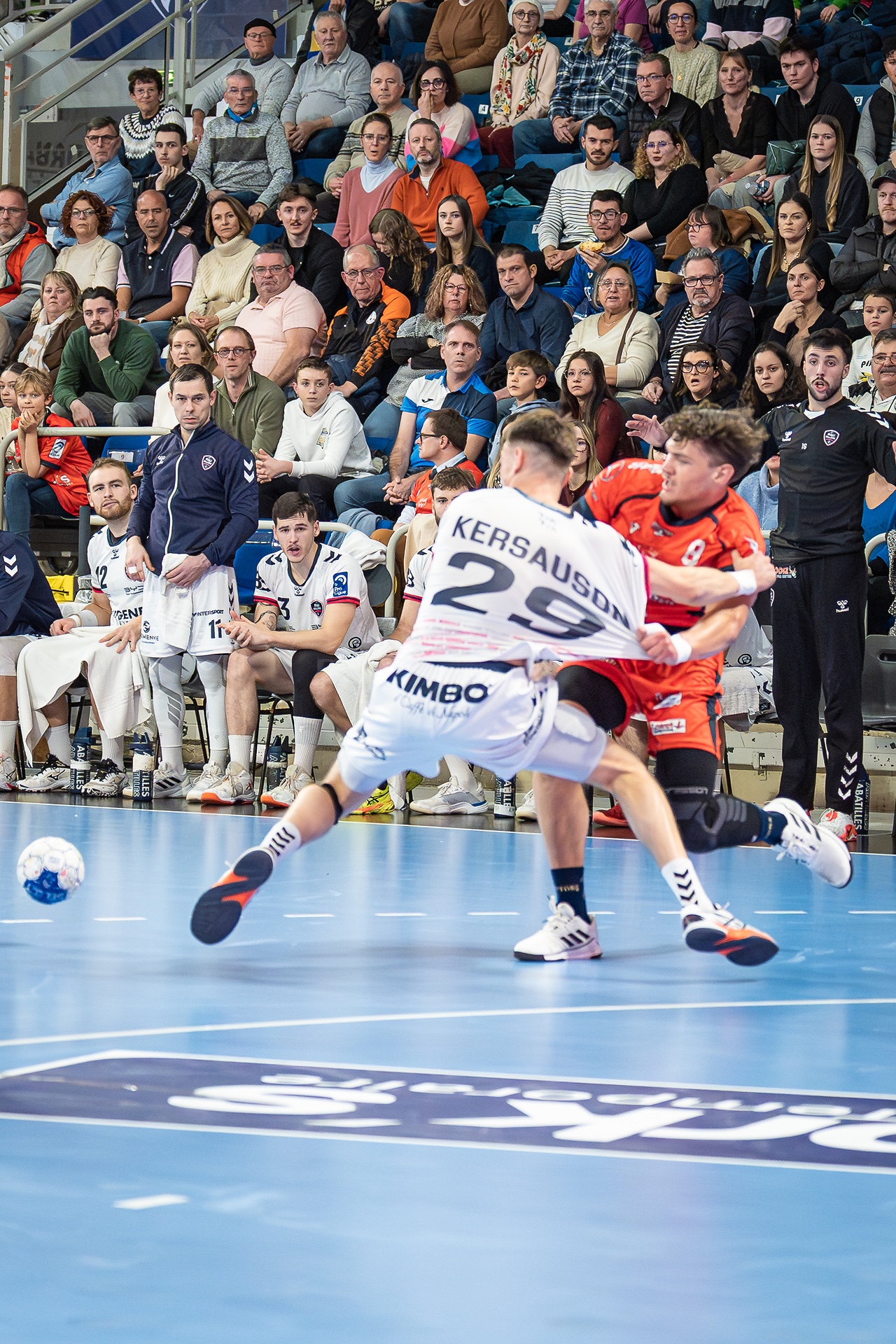 DSC08278.jpg_compressed