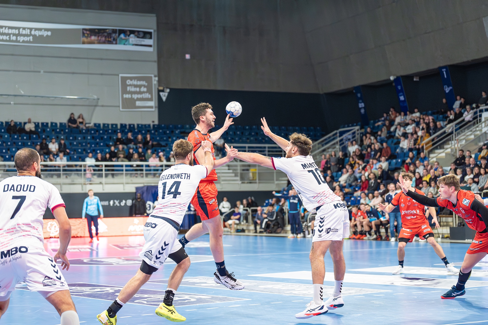 DSC08304.jpg_compressed