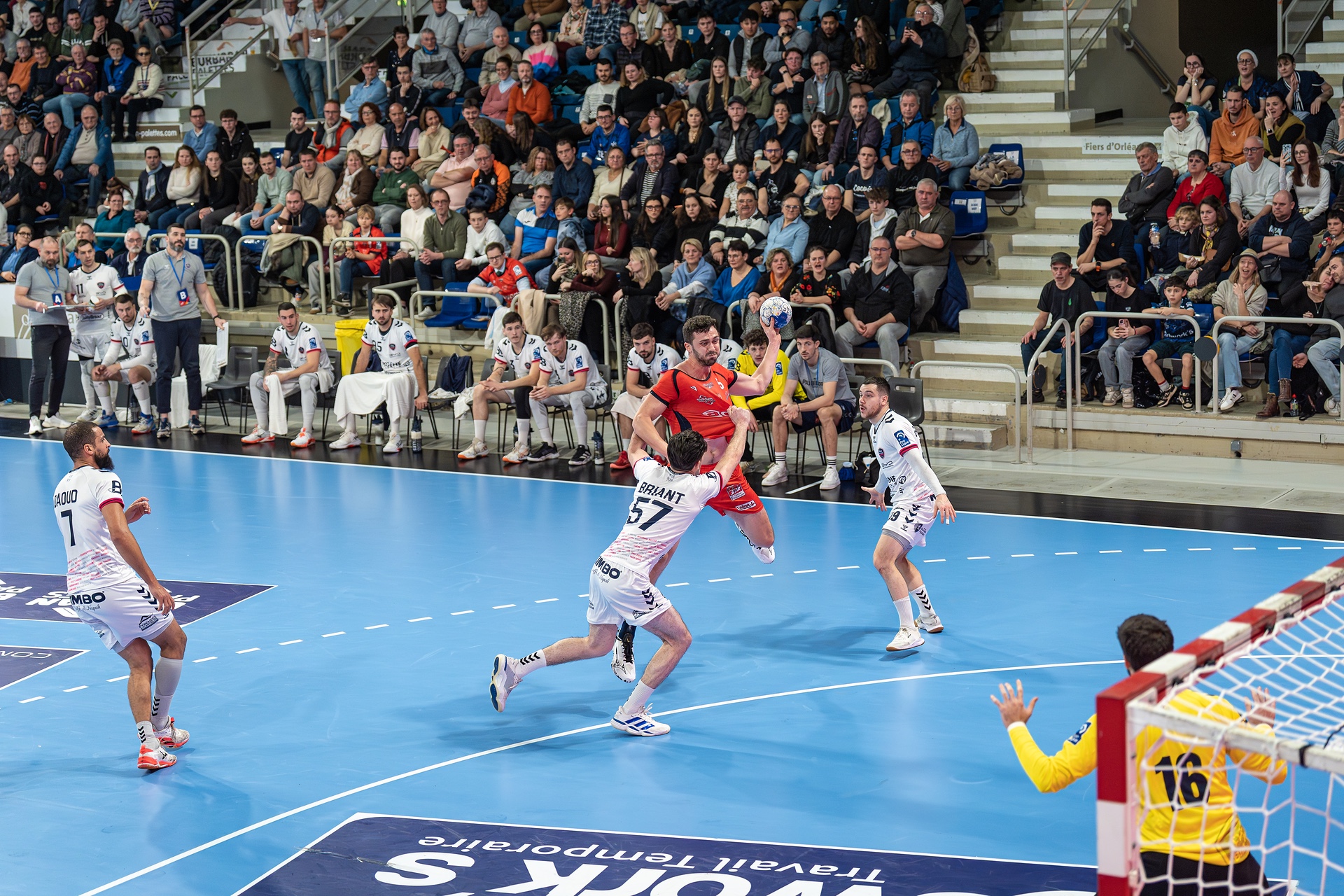 DSC08679.jpg_compressed