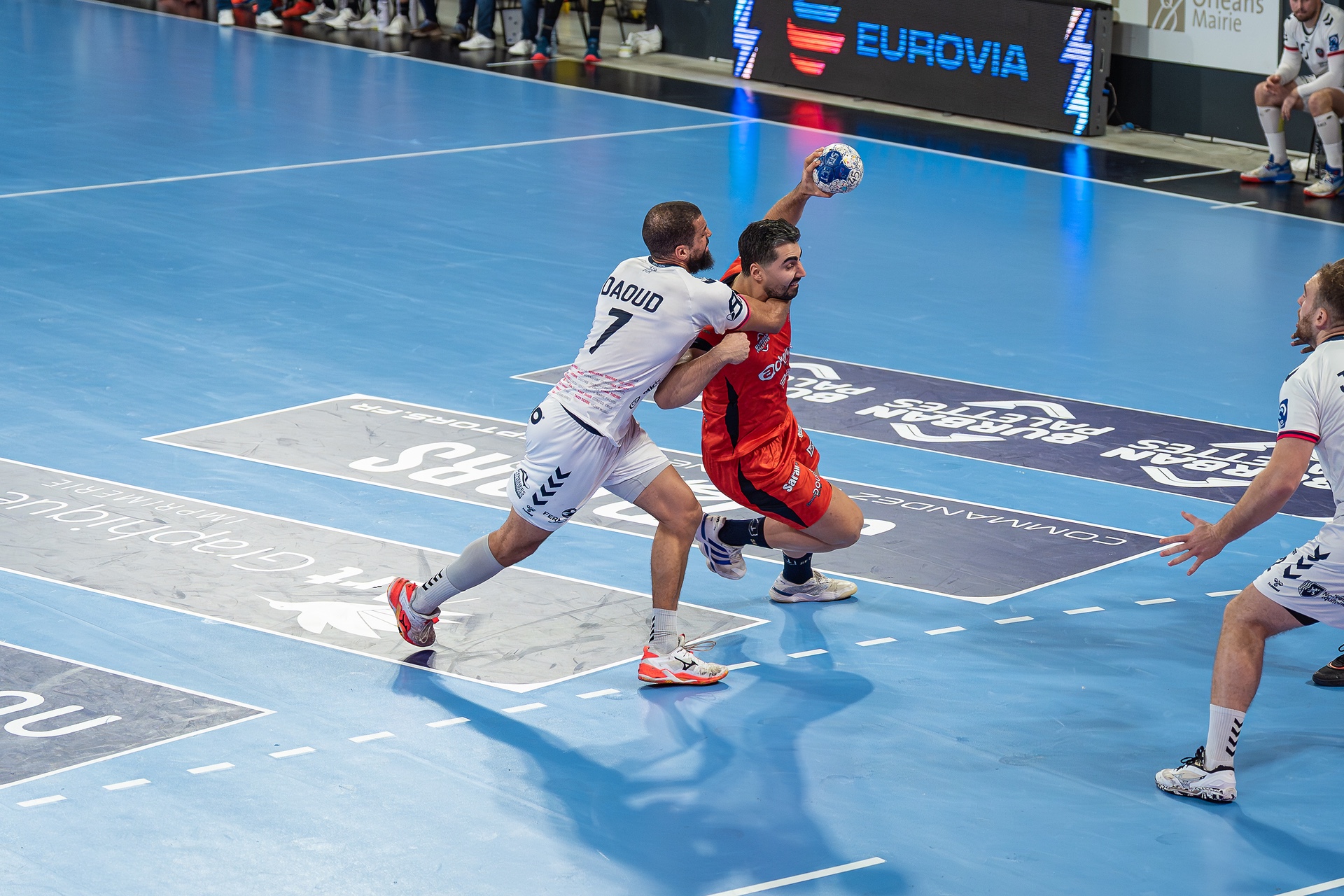 DSC08813.jpg_compressed