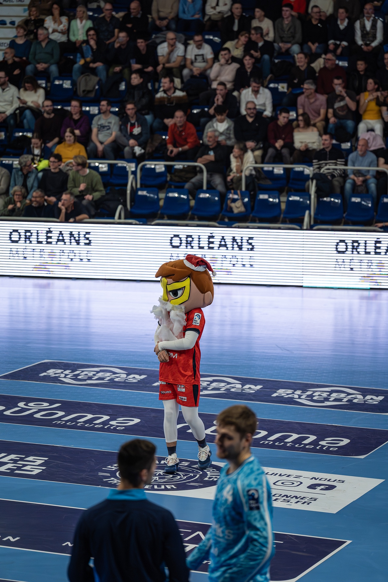 DSC08877.jpg_compressed