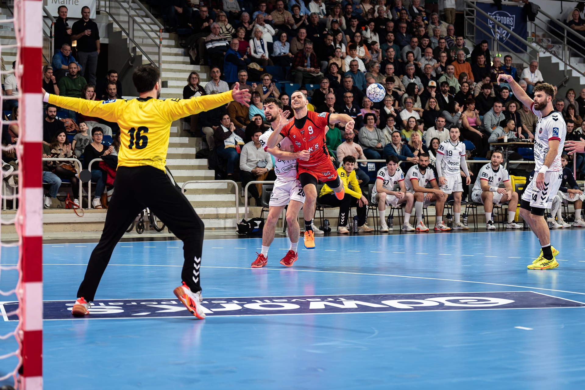 DSC09161.jpg_compressed