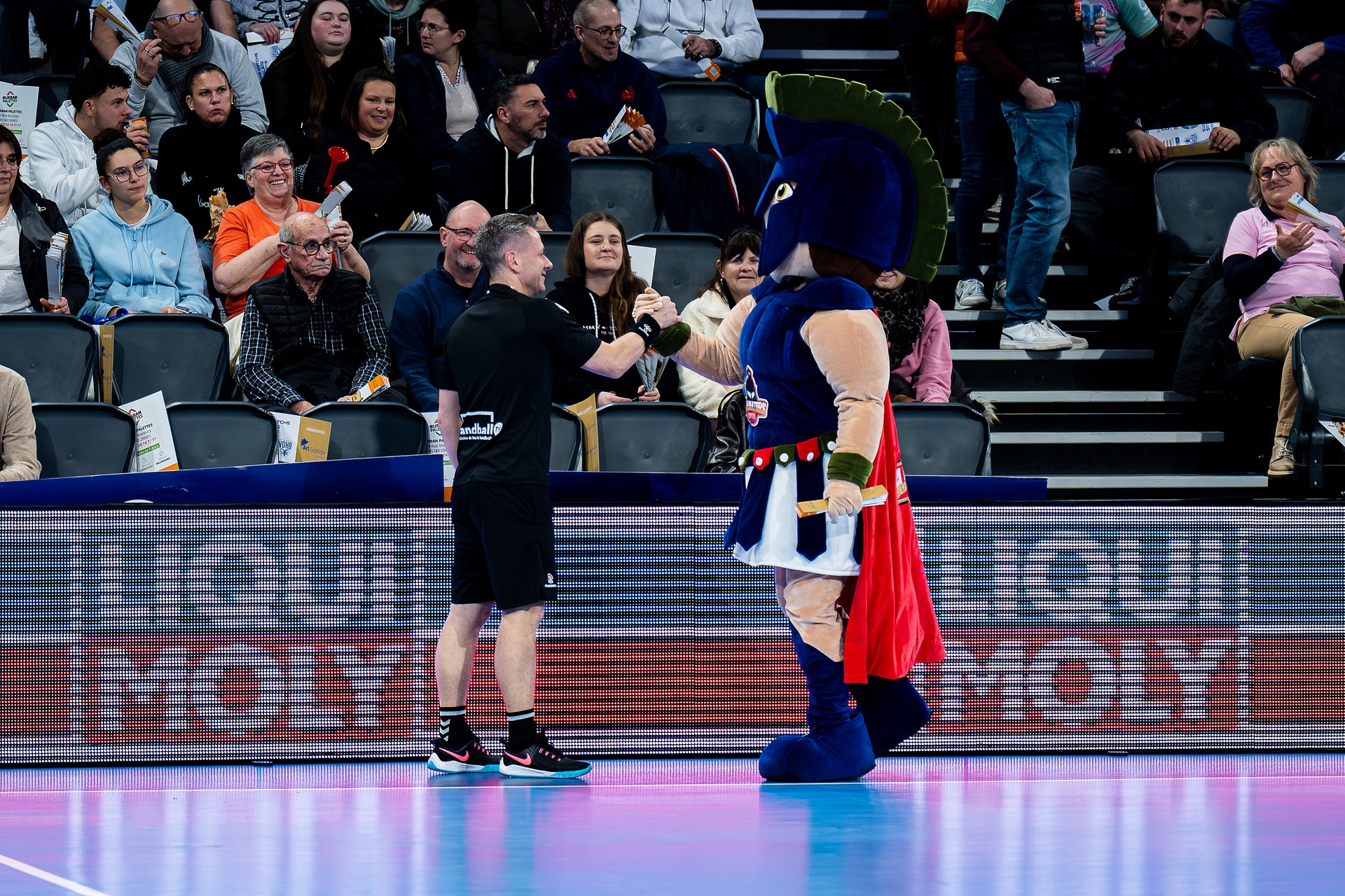 DSC09264.jpg_compressed