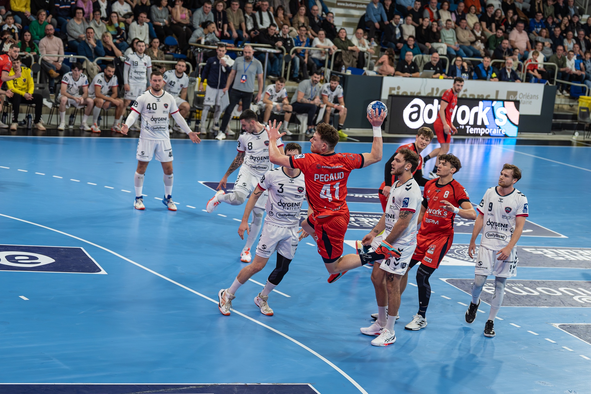 DSC09272.jpg_compressed