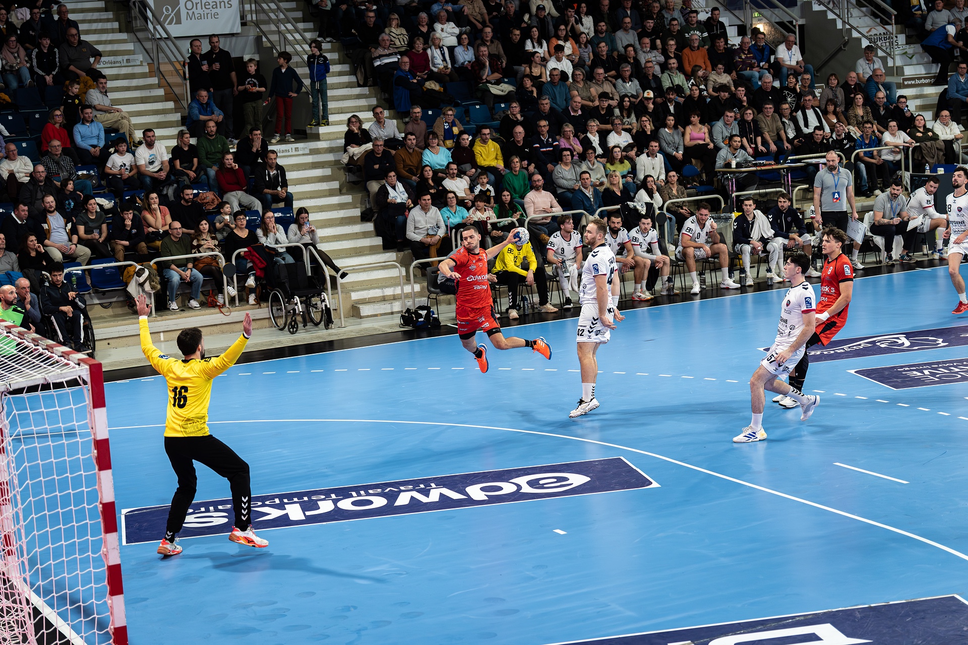 DSC09352.jpg_compressed