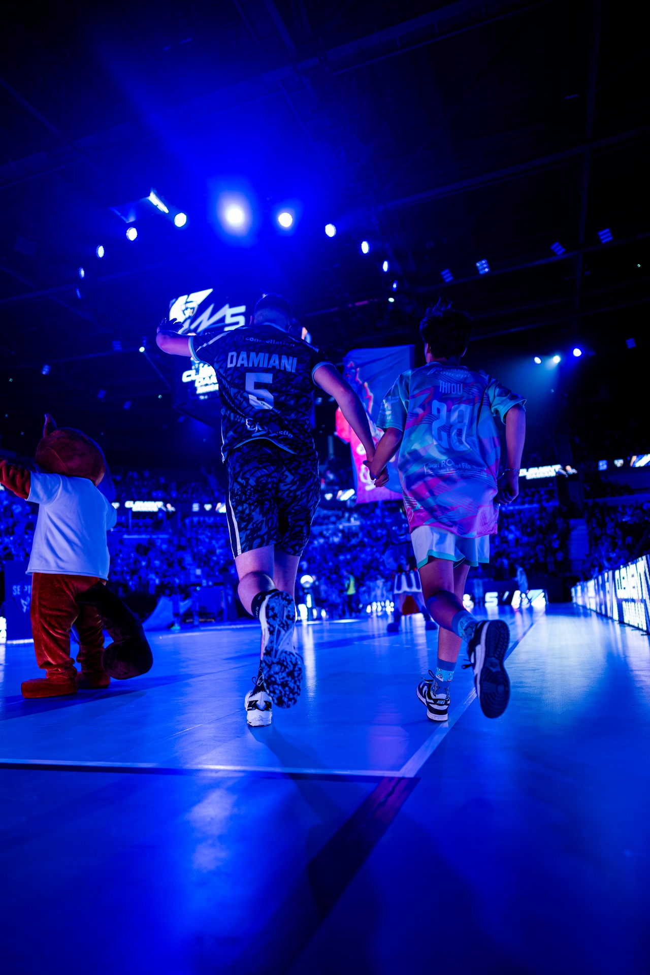 DSC09484.jpg_compressed