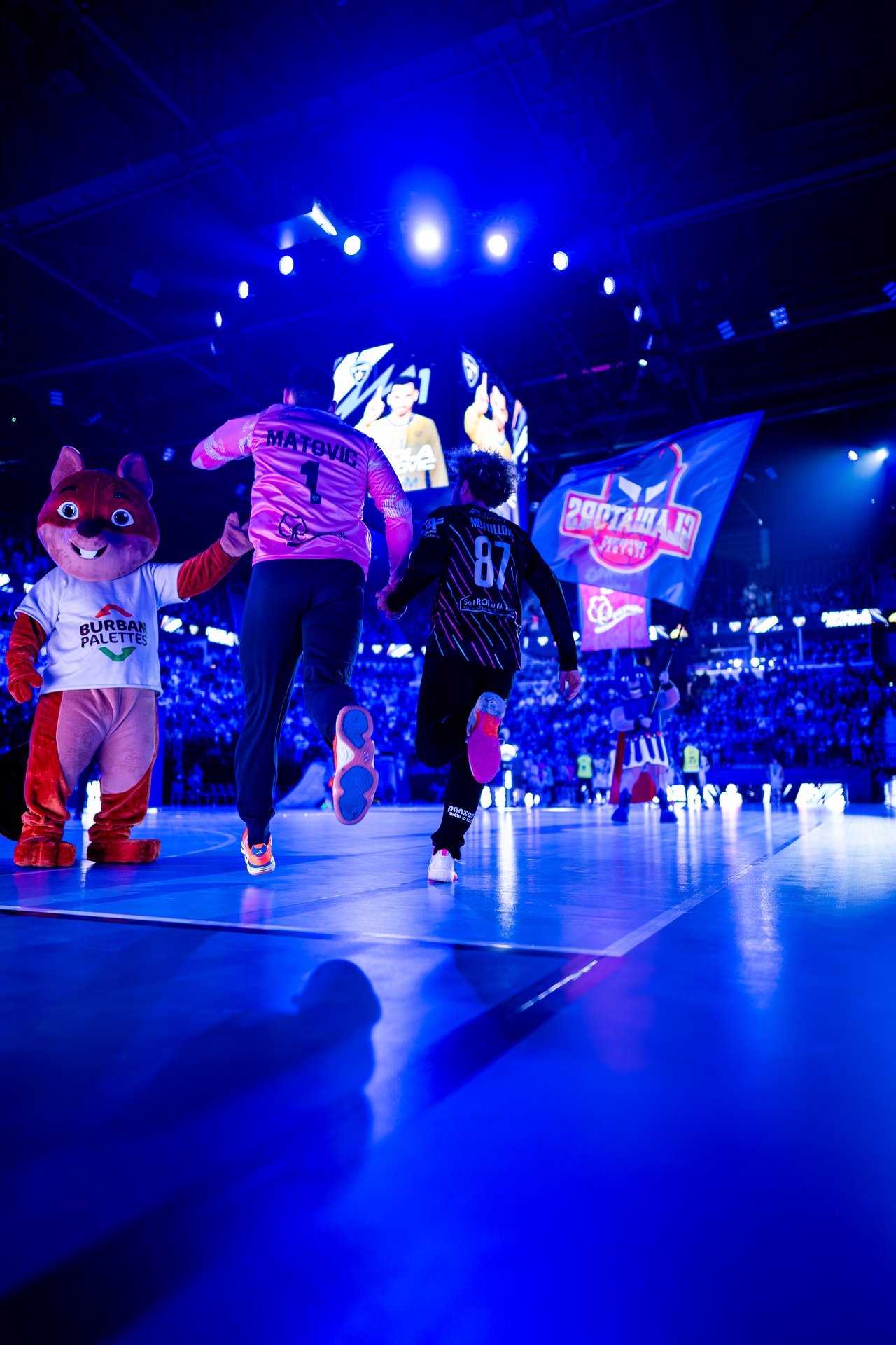 DSC09487.jpg_compressed