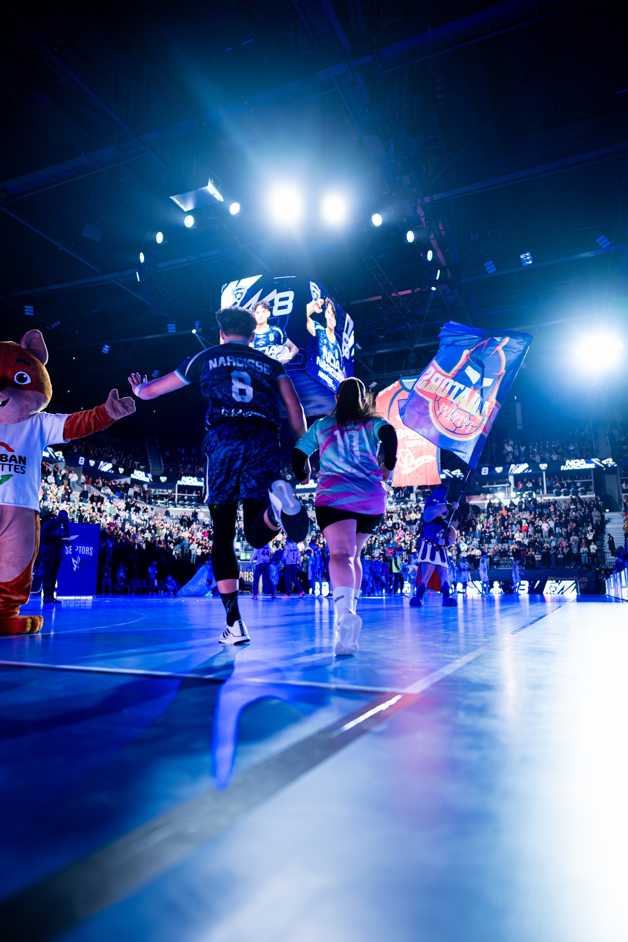 DSC09497.jpg_compressed