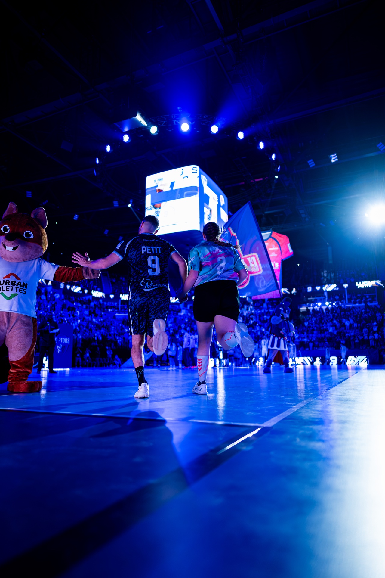 DSC09501.jpg_compressed