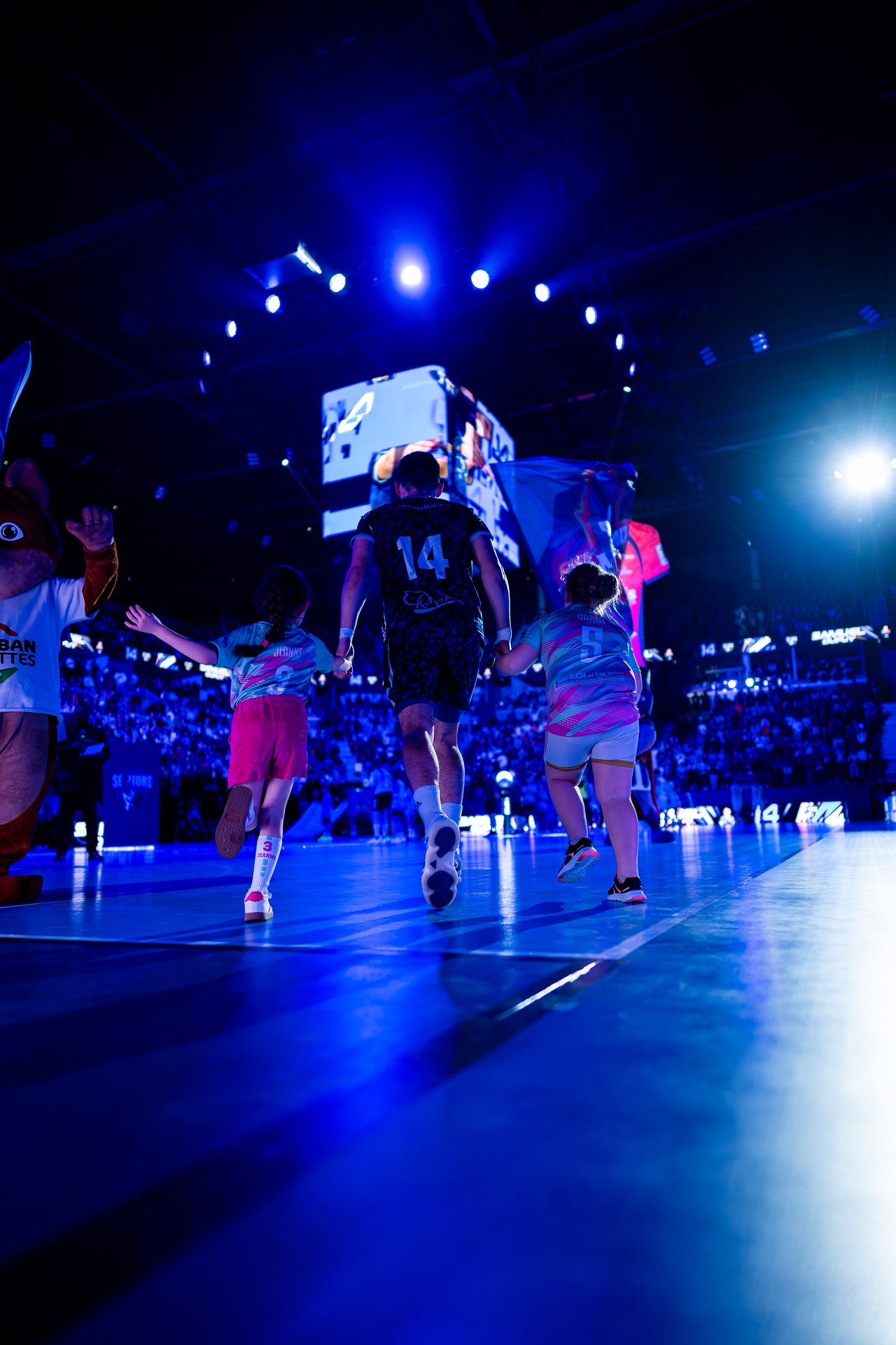 DSC09507.jpg_compressed