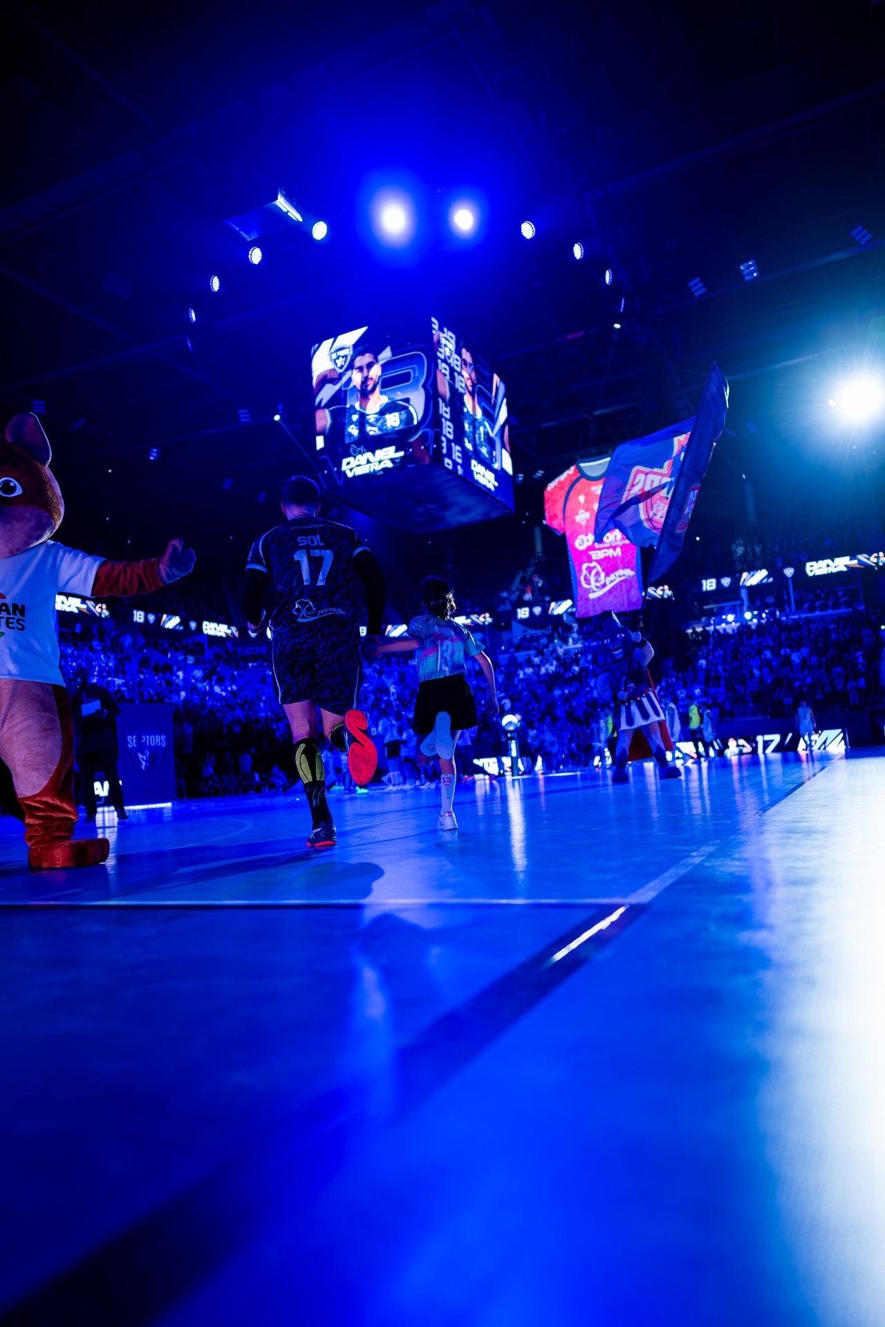 DSC09510.jpg_compressed