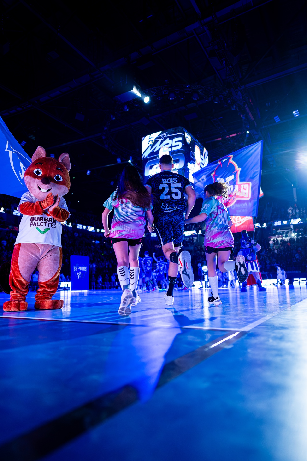 DSC09520.jpg_compressed