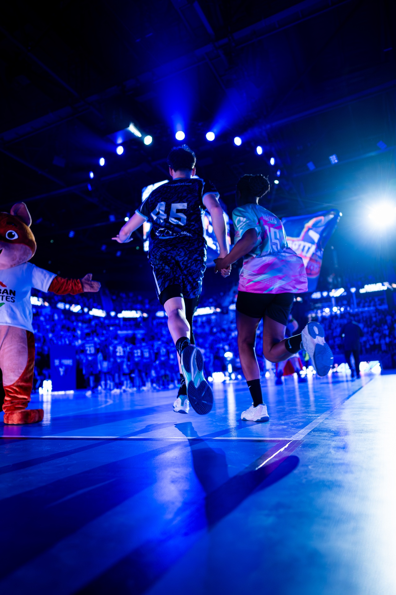 DSC09530.jpg_compressed