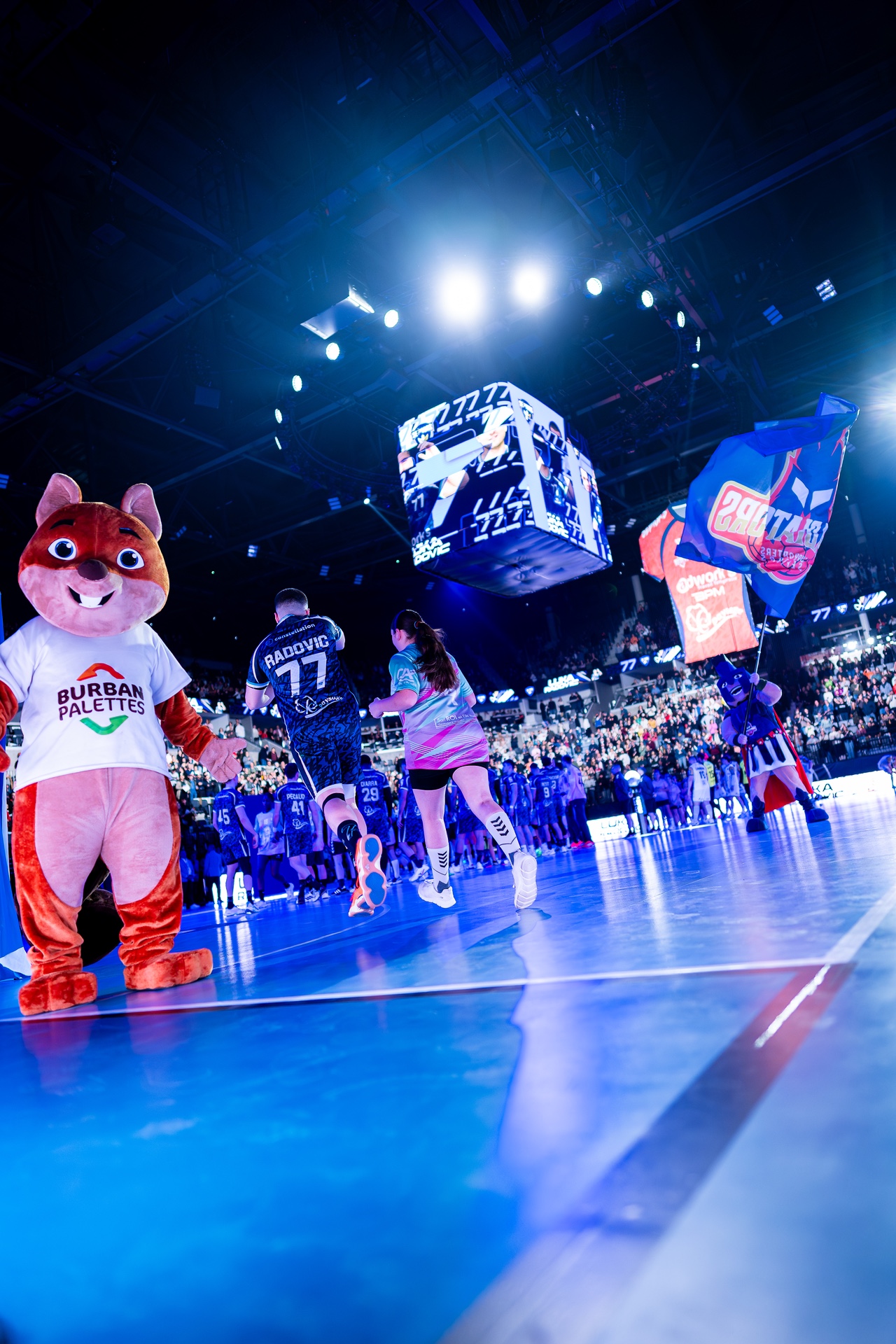 DSC09541.jpg_compressed