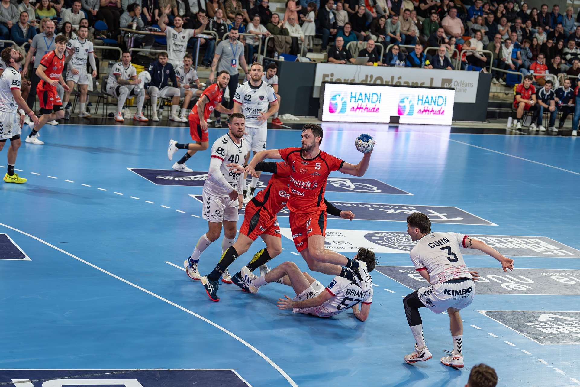 DSC09723.jpg_compressed