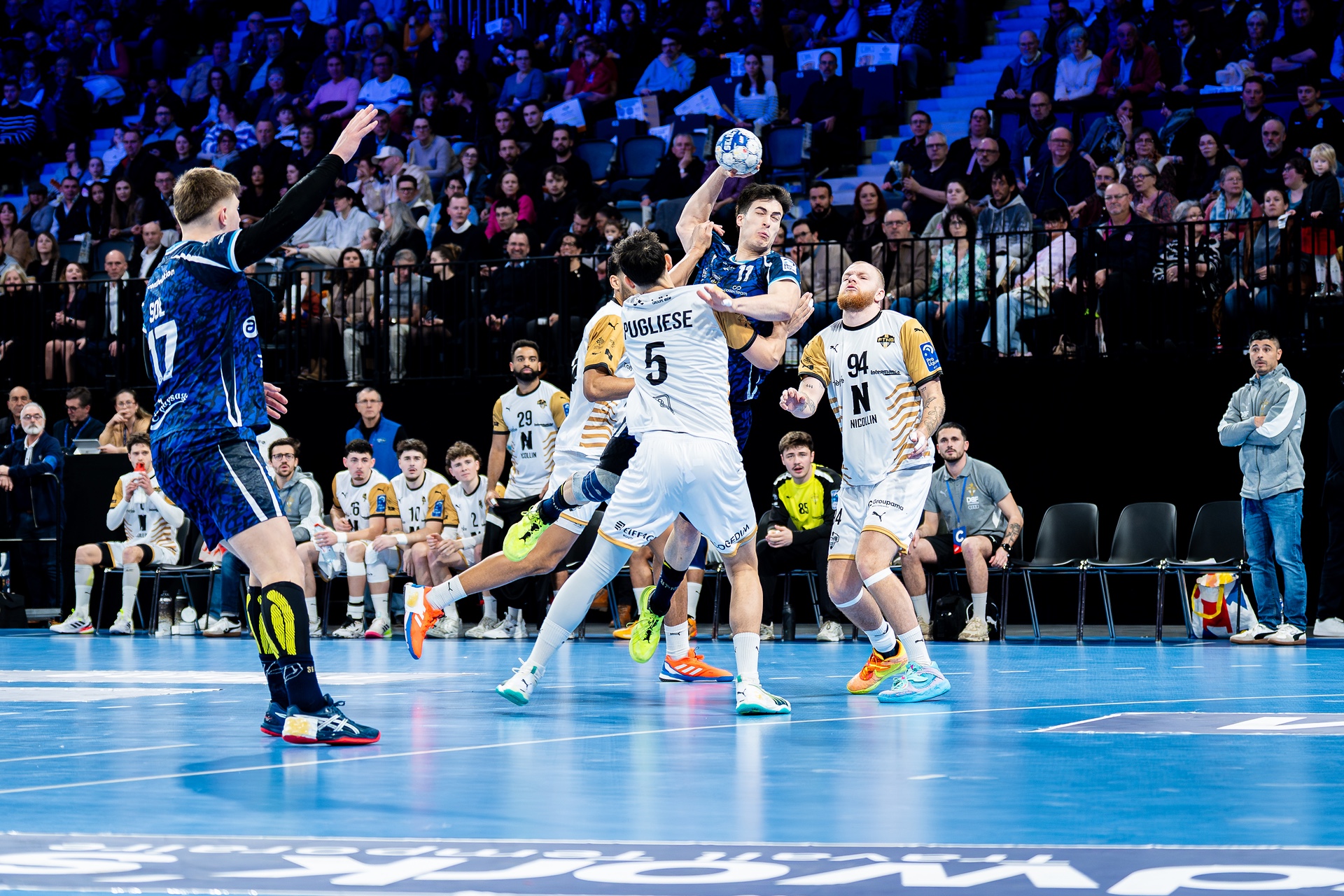 DSC09779.jpg_compressed