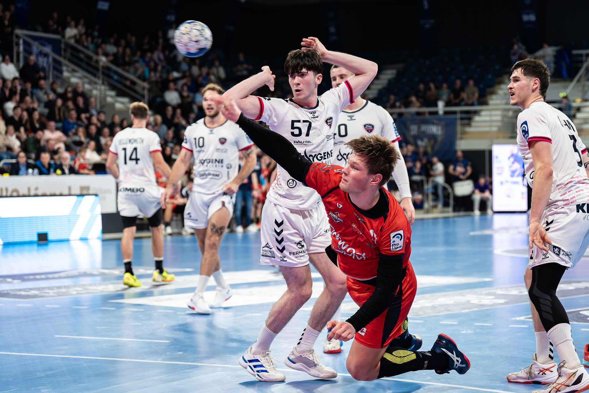 DSC09881.jpg_compressed