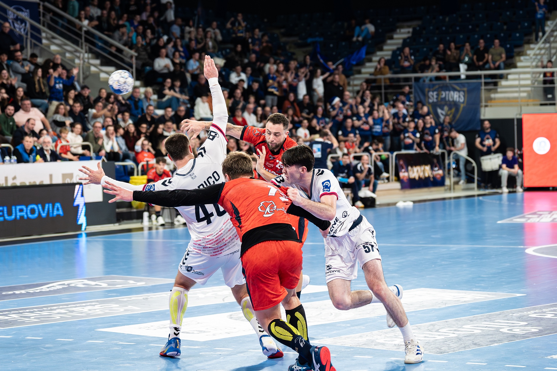 DSC09912.jpg_compressed