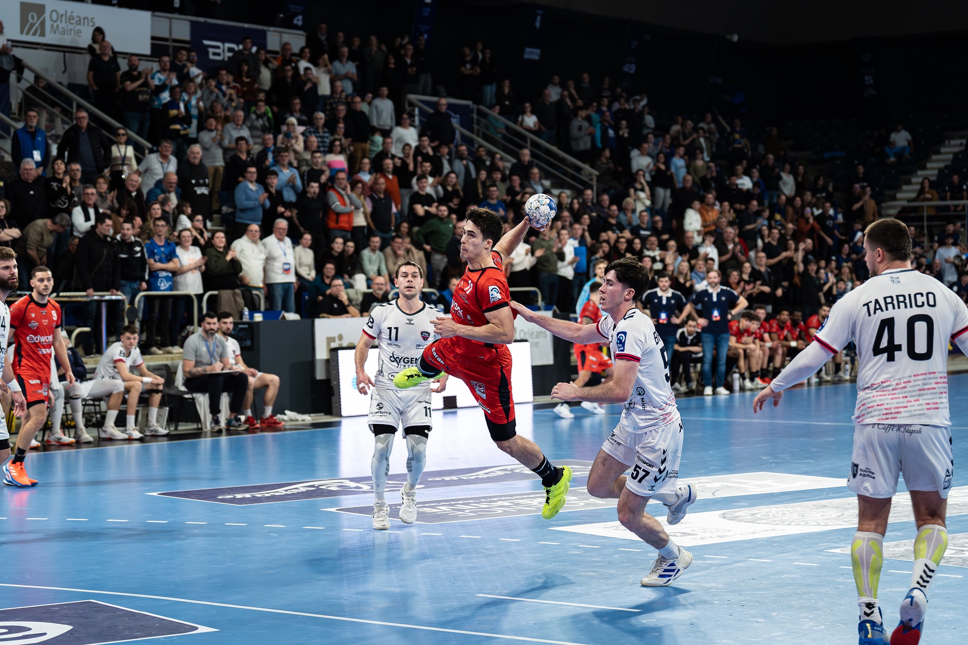 DSC09941.jpg_compressed