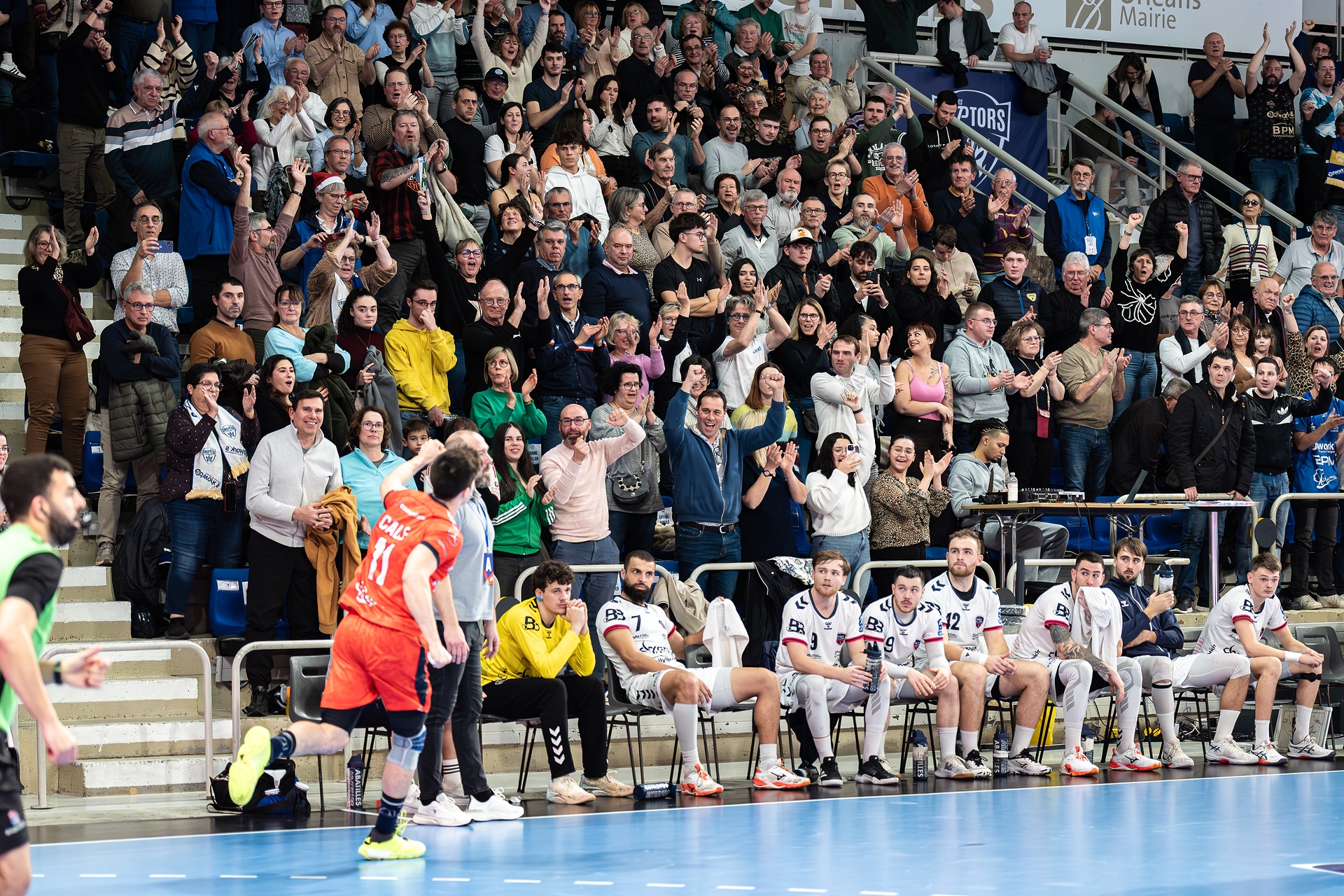 DSC09968.jpg_compressed