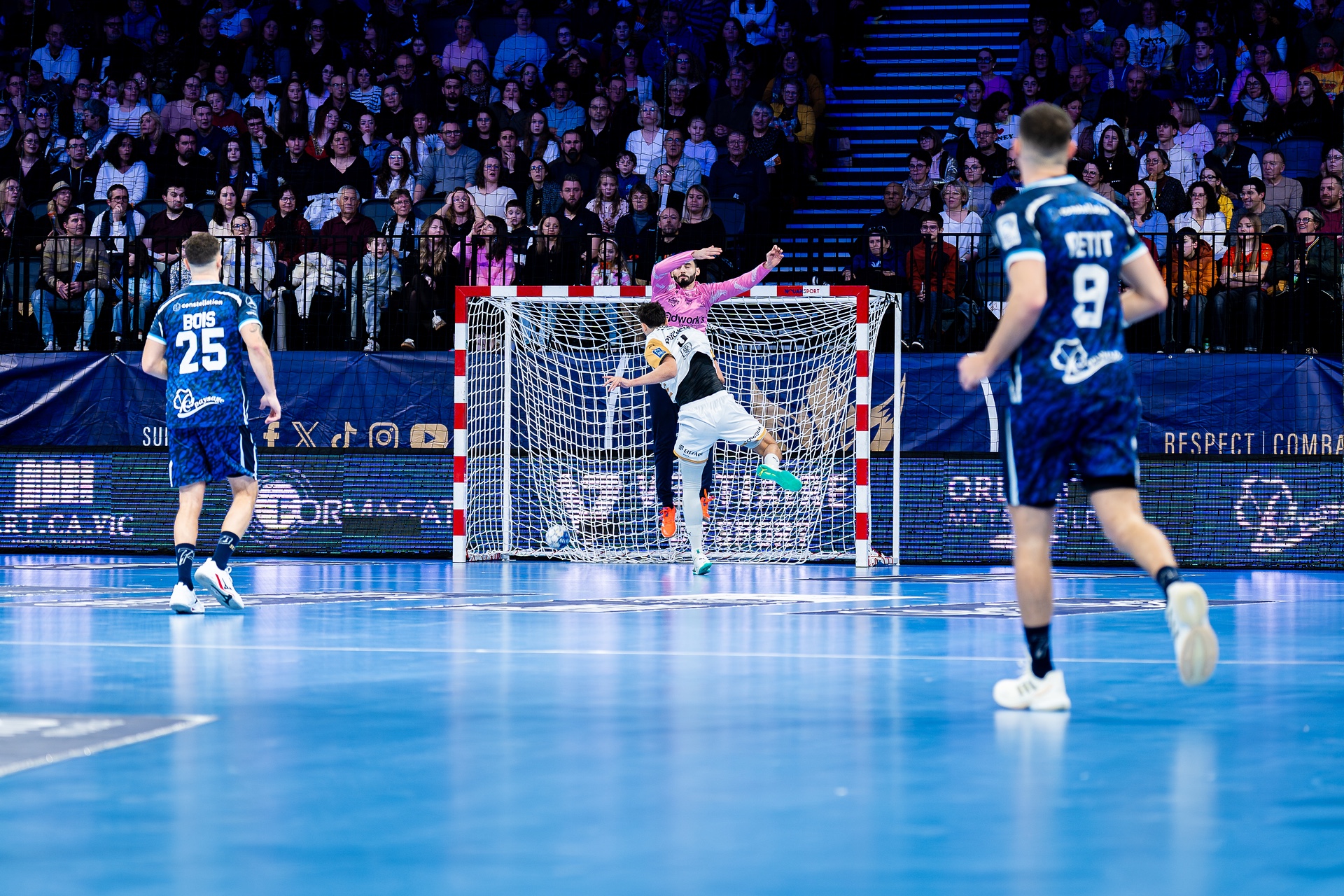 DSC09978.jpg_compressed